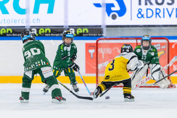 e + h Eishockeyschule